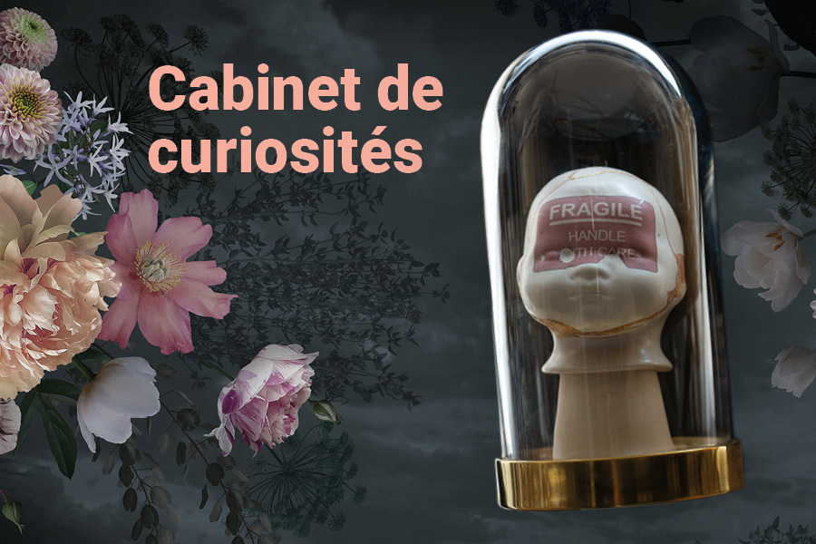 Cabinet des curiosités